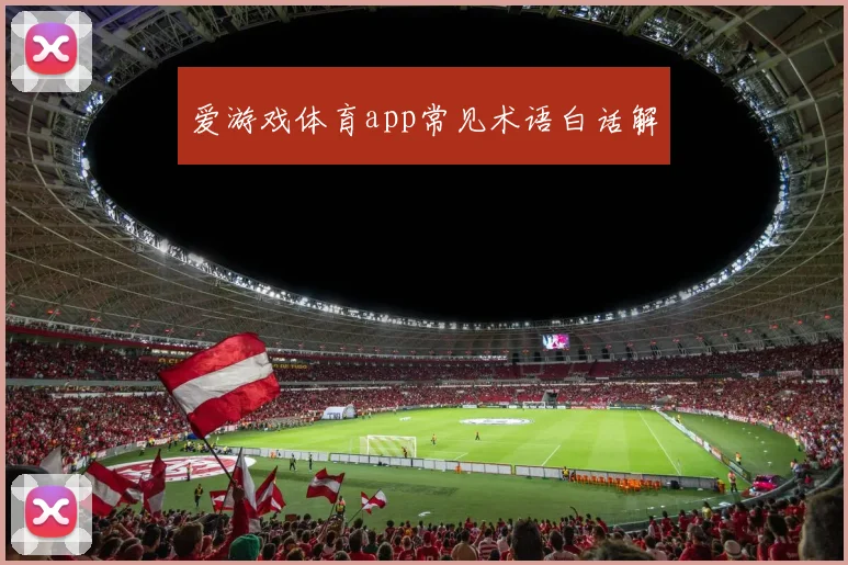 爱游戏体育app常见术语白话解
