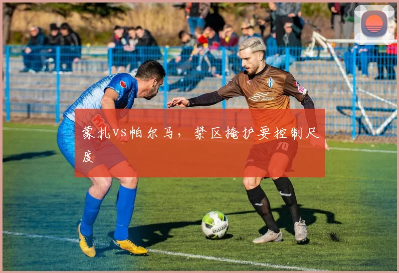 蒙扎vs帕尔马，禁区掩护要控制尺度